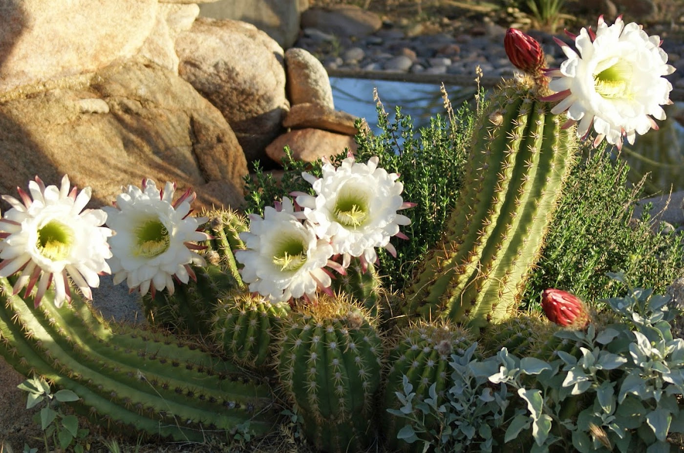 Spirit in the Desert Retreat Center