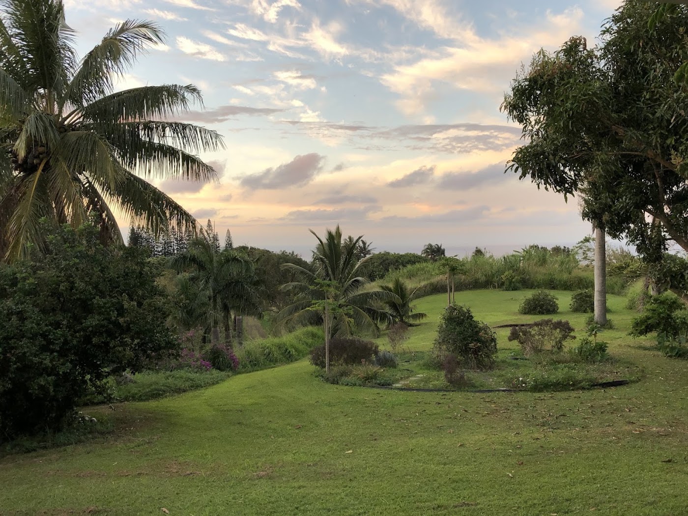 Kokolulu Farm and Cancer Retreats Inc