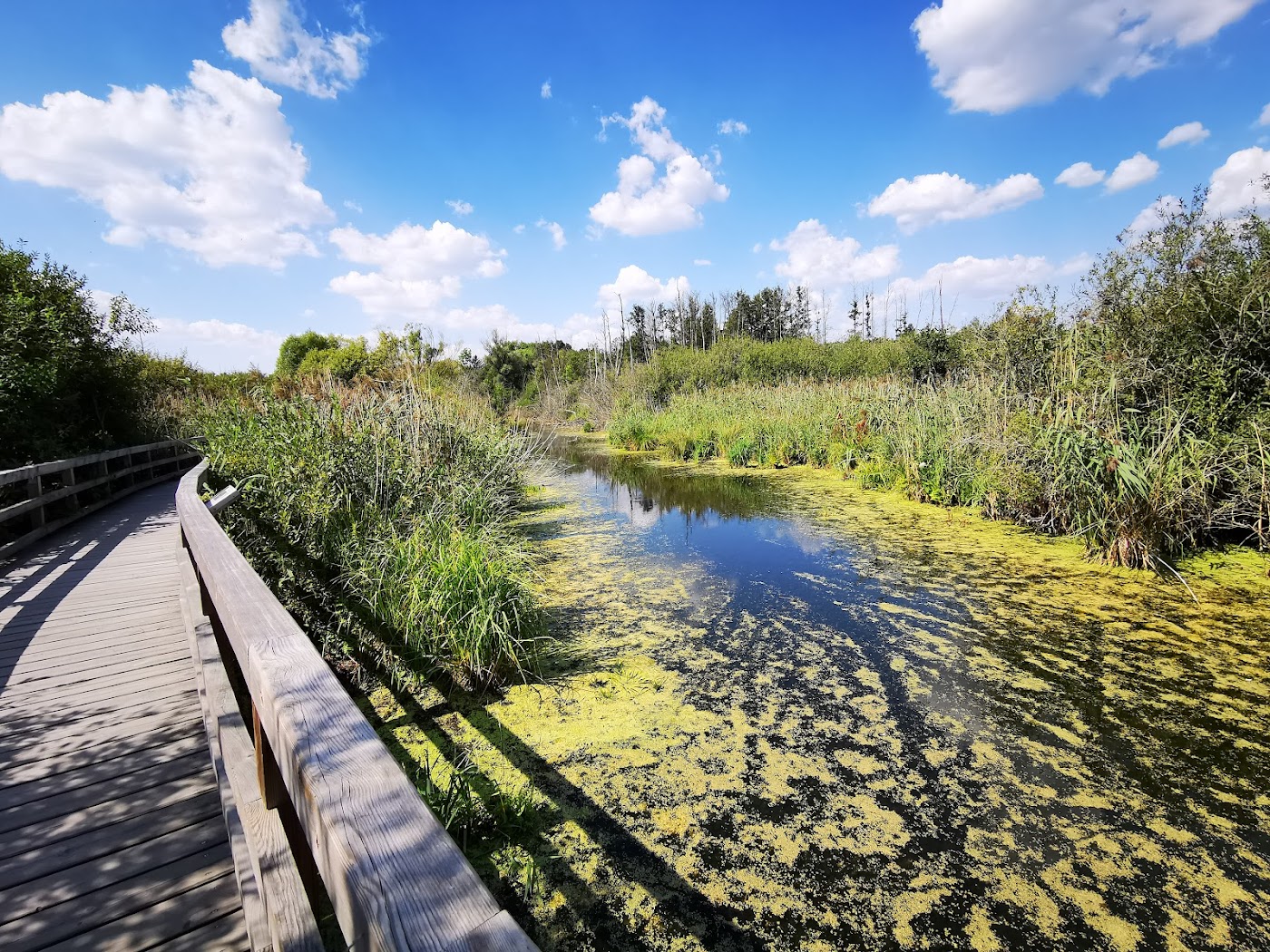 Fastenwandern in Berlin - Heilfasten Wandern, präventives Fasten