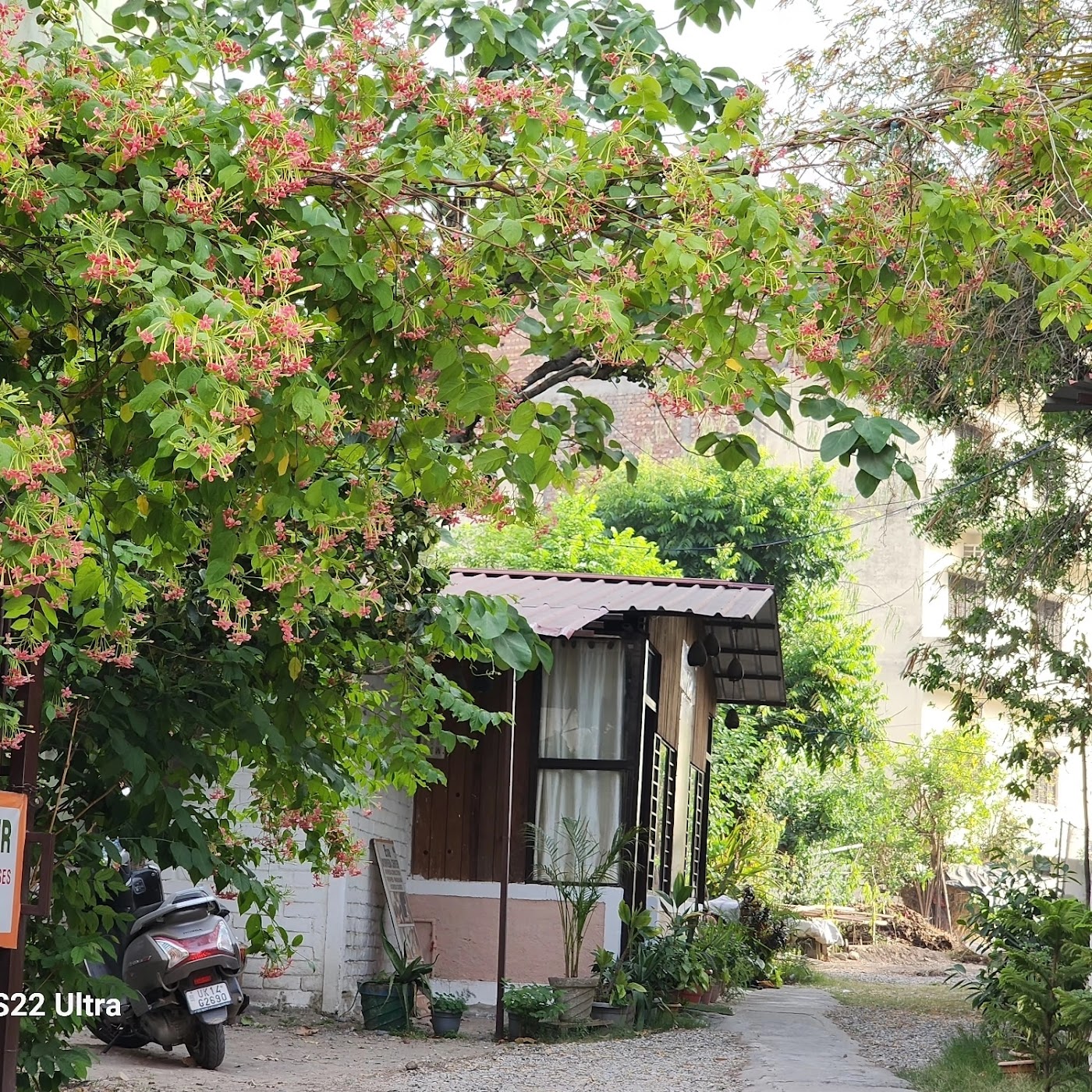 Eva Ayurveda & Panchakarma Centre