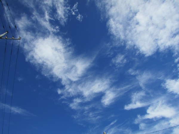 断食道場リフレッシュの森