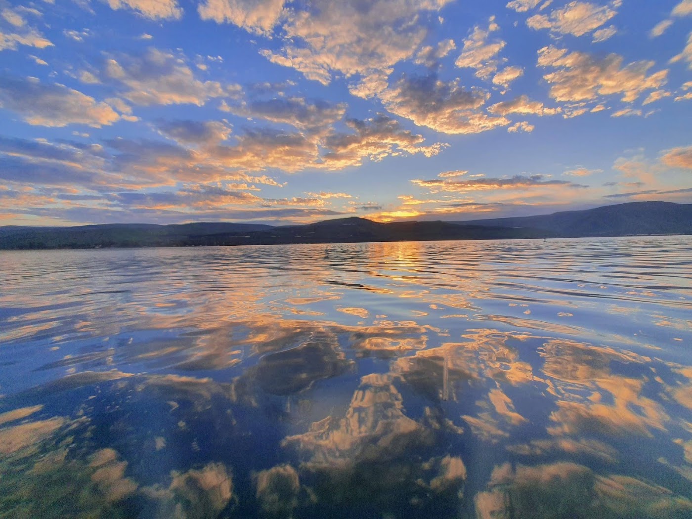 חוות הבריאות אורות