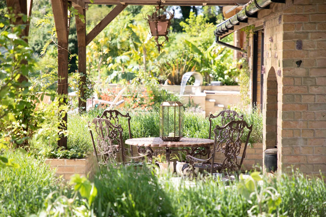 Torside Health & Wellness