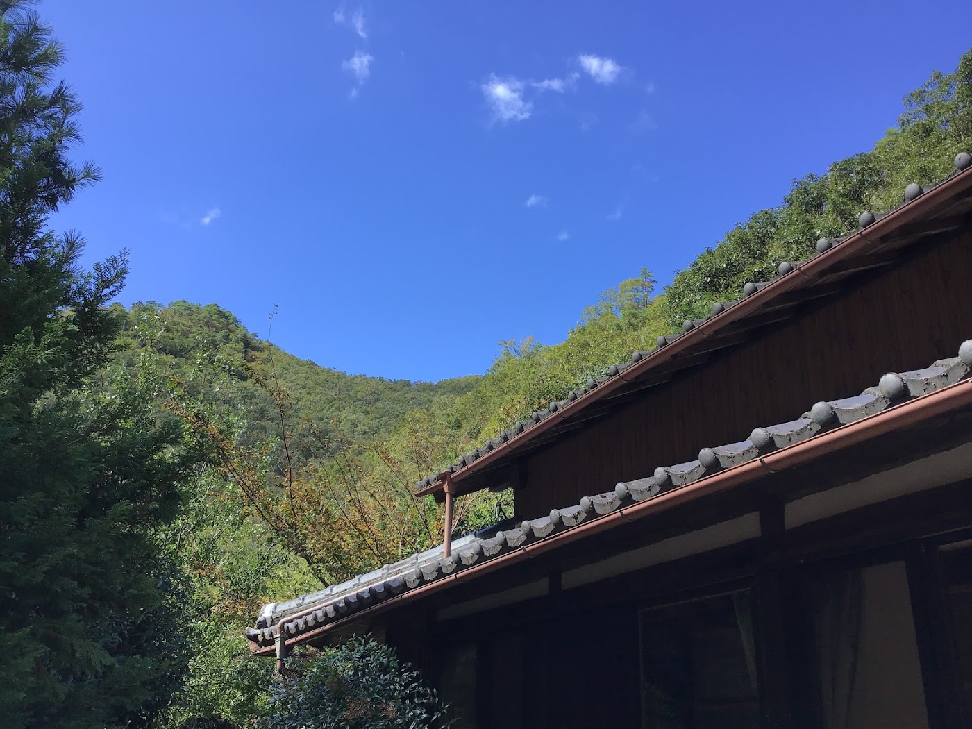 すずなり 酵素断食浄化療法