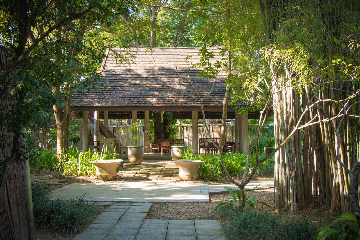 Treehouse Thailand