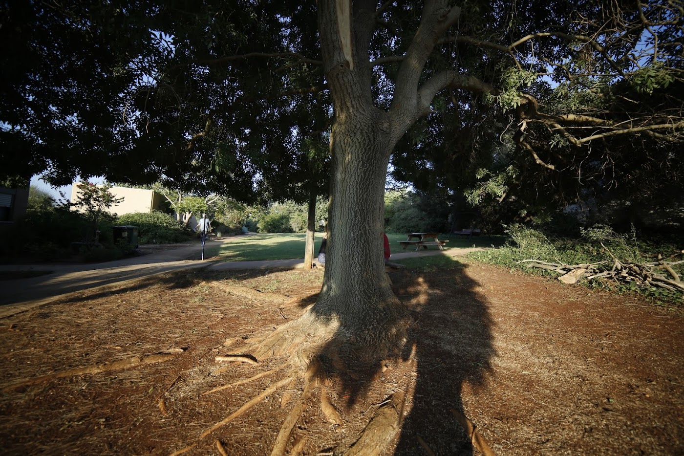 בית הבריאות