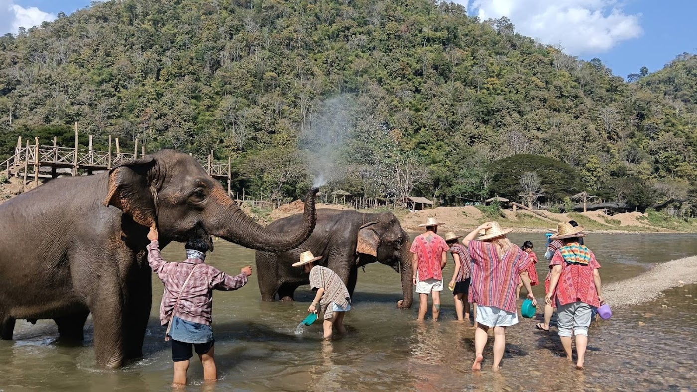 Secret Elephant Sanctuary