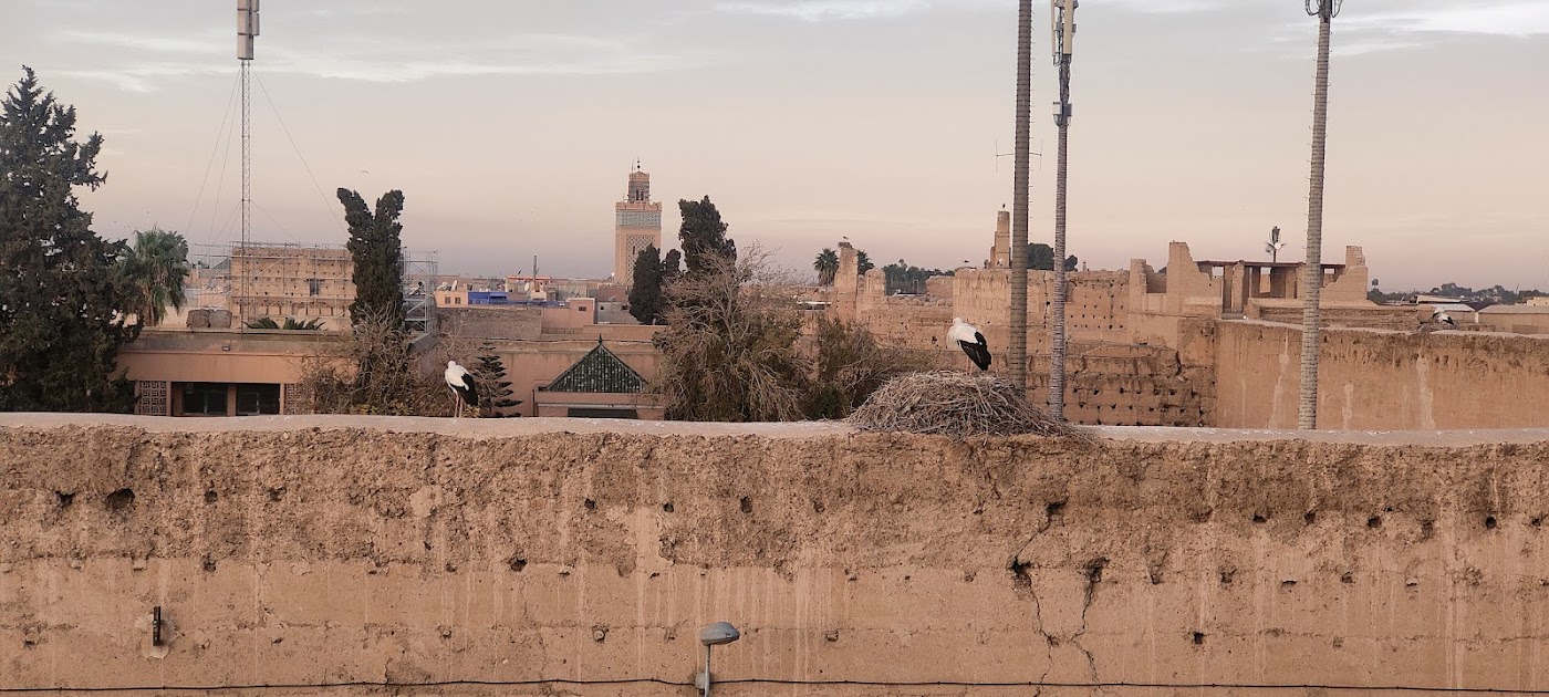 Stork Marrakech Luxury Hostel