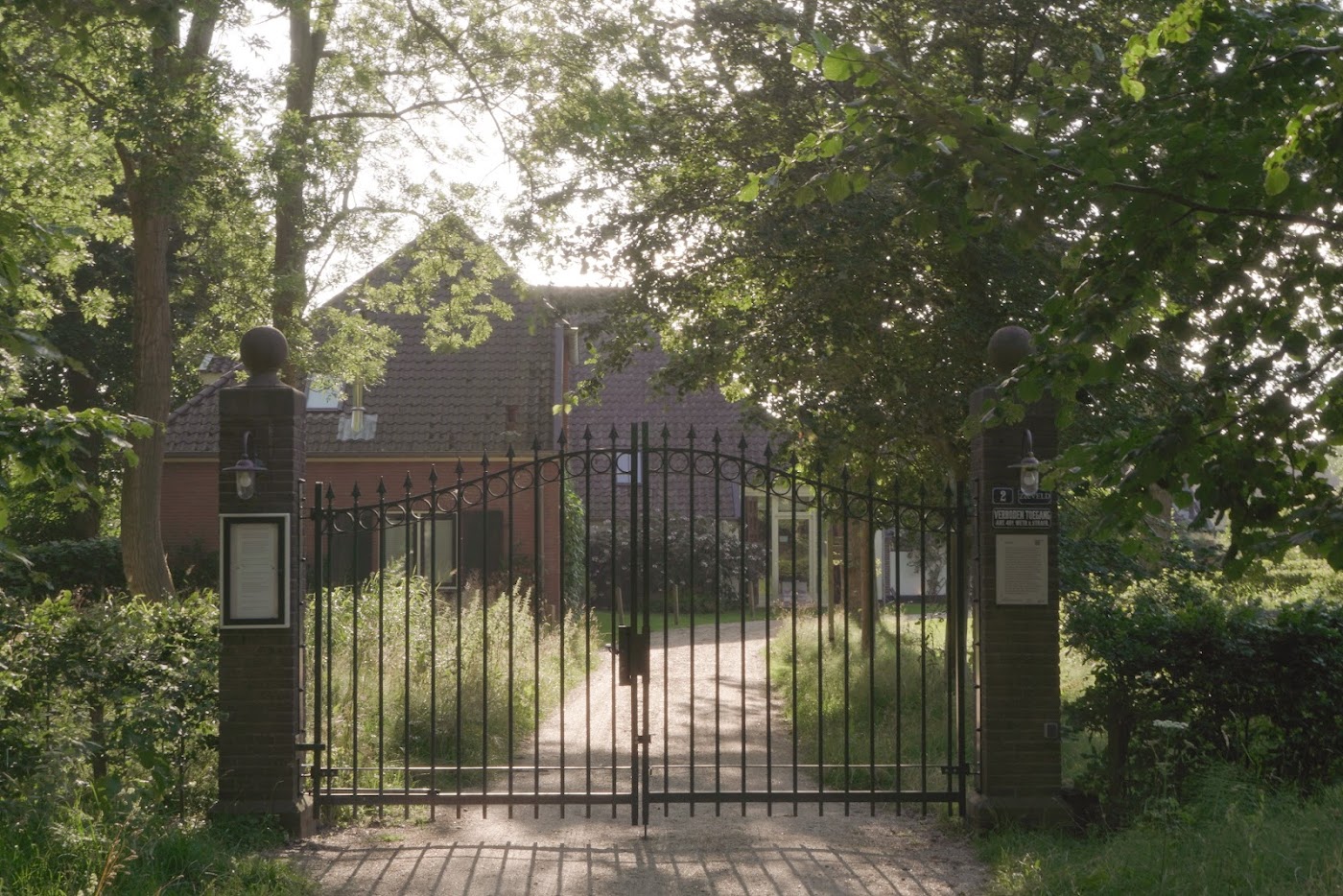 SET & SETTING Retreat - Psychedelisches Psilocybin Retreat