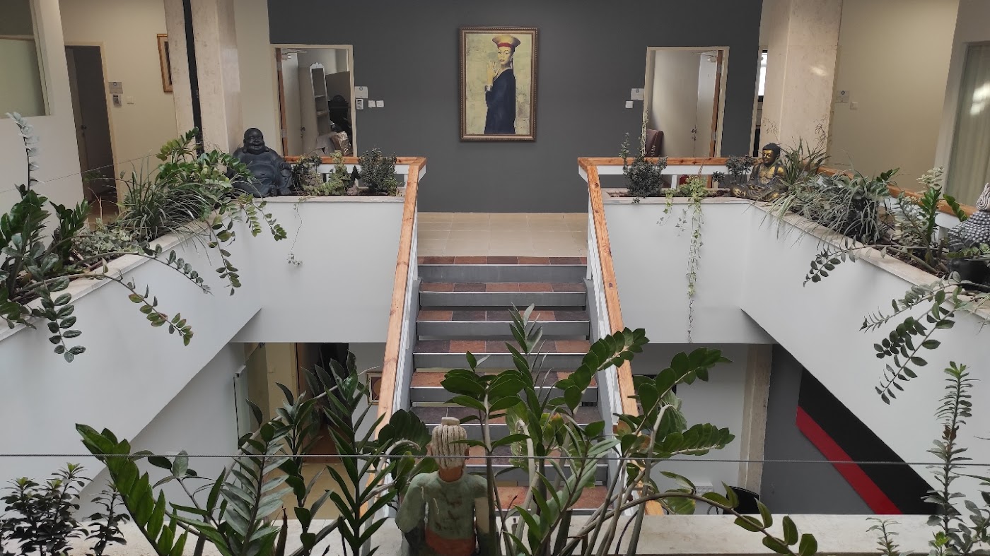 LIVE WELL - רגב לוי