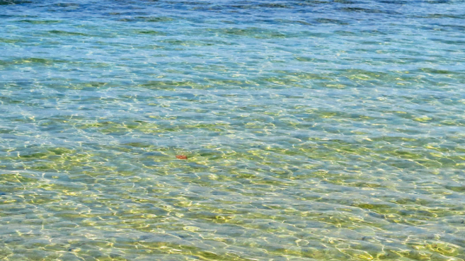 Center for Innovative Medicine