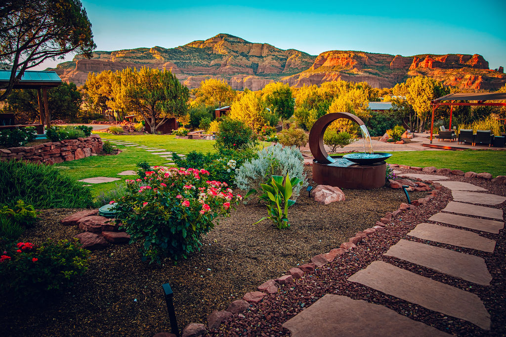 High Vibe Collective