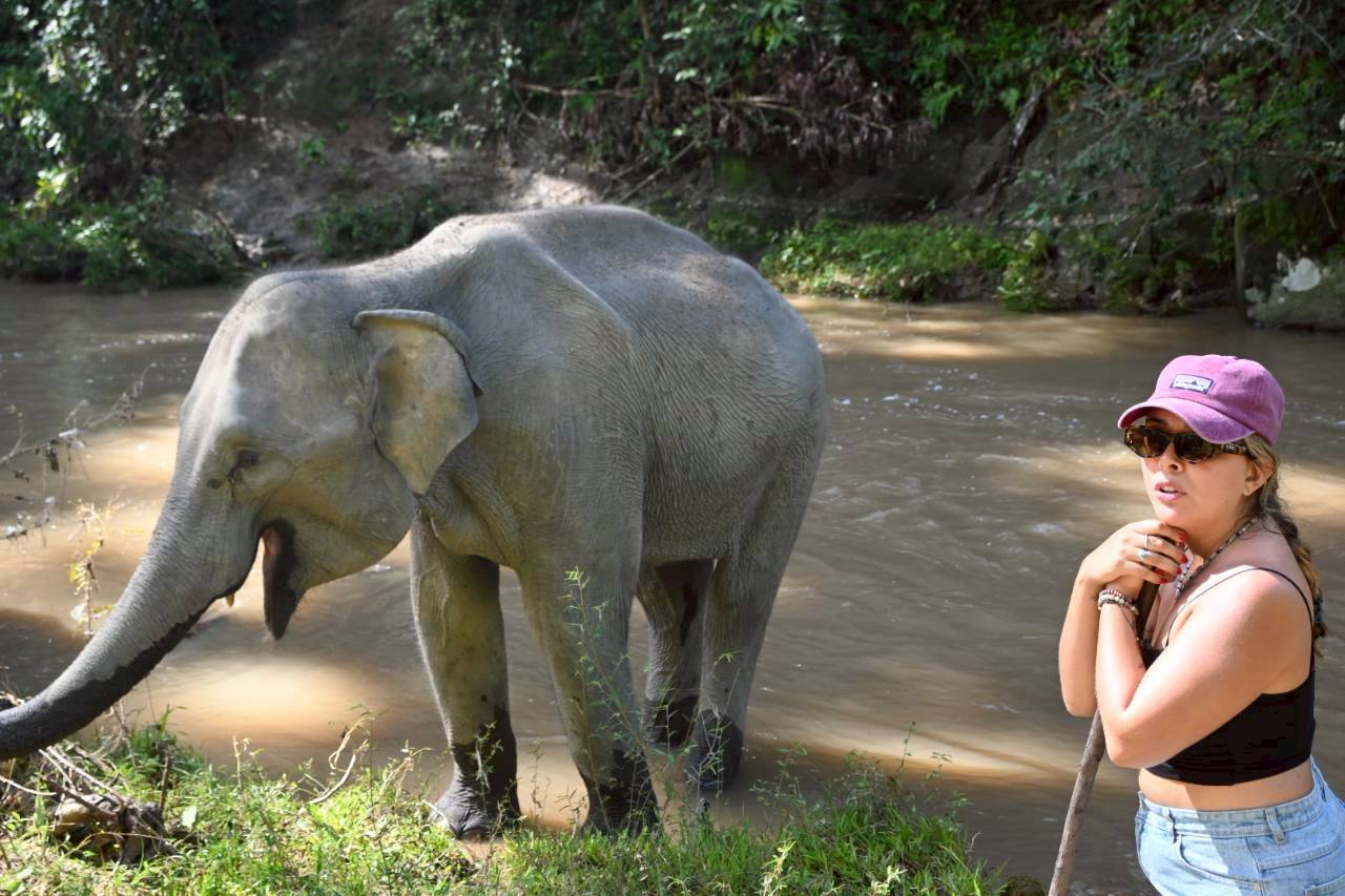 Into the Wild Elephant Camp