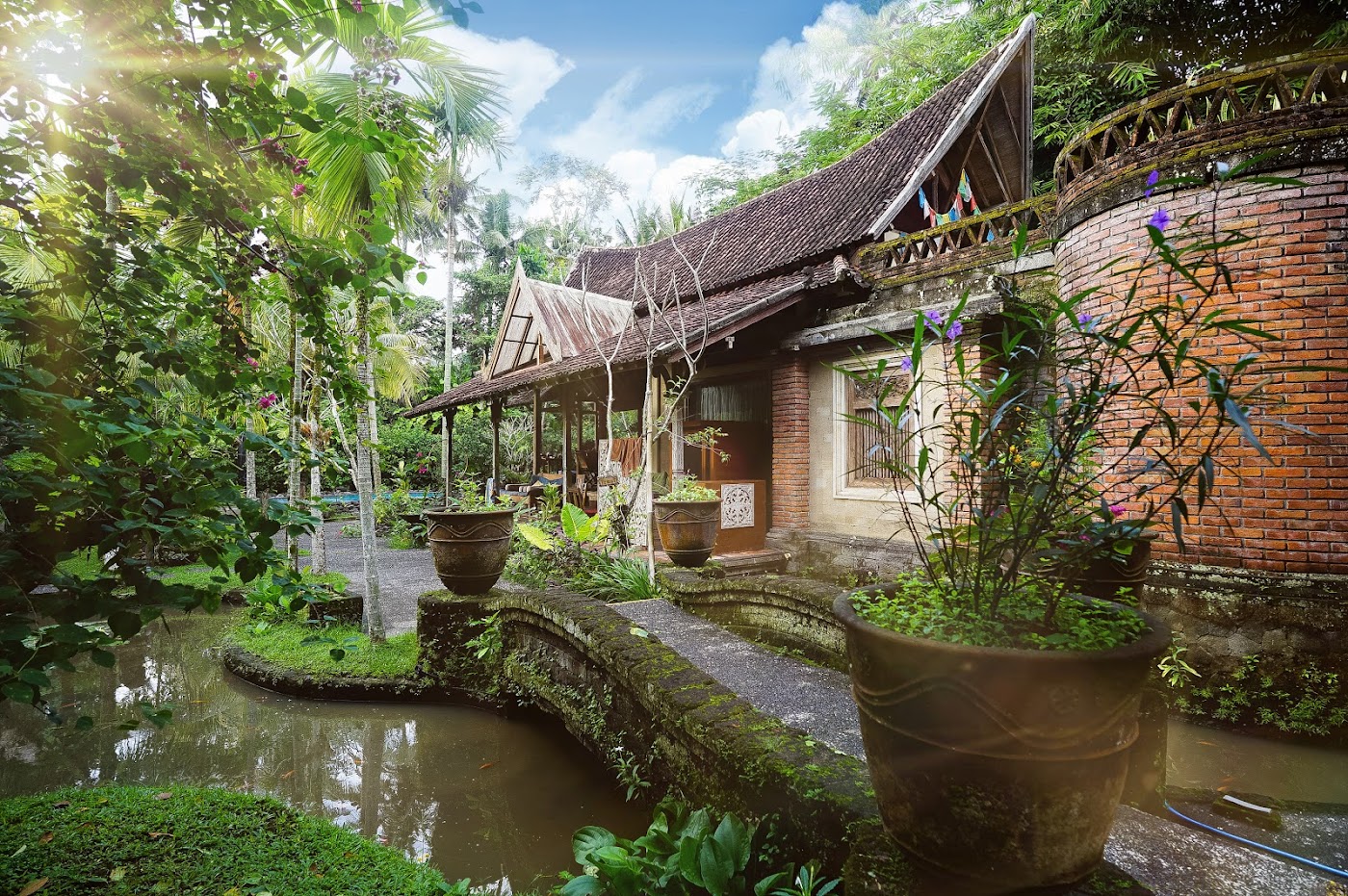 Natural Instinct Healing